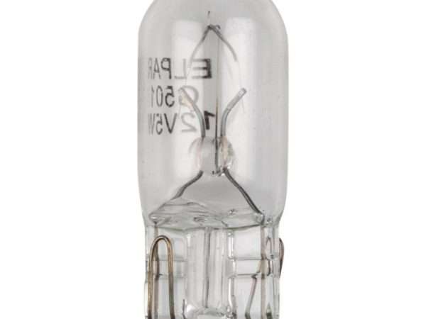 BULK PACK 10 X GLOBE WEDGE TYPE 12V G501